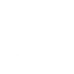 Tout savoir sur 1xbet apk pour Android